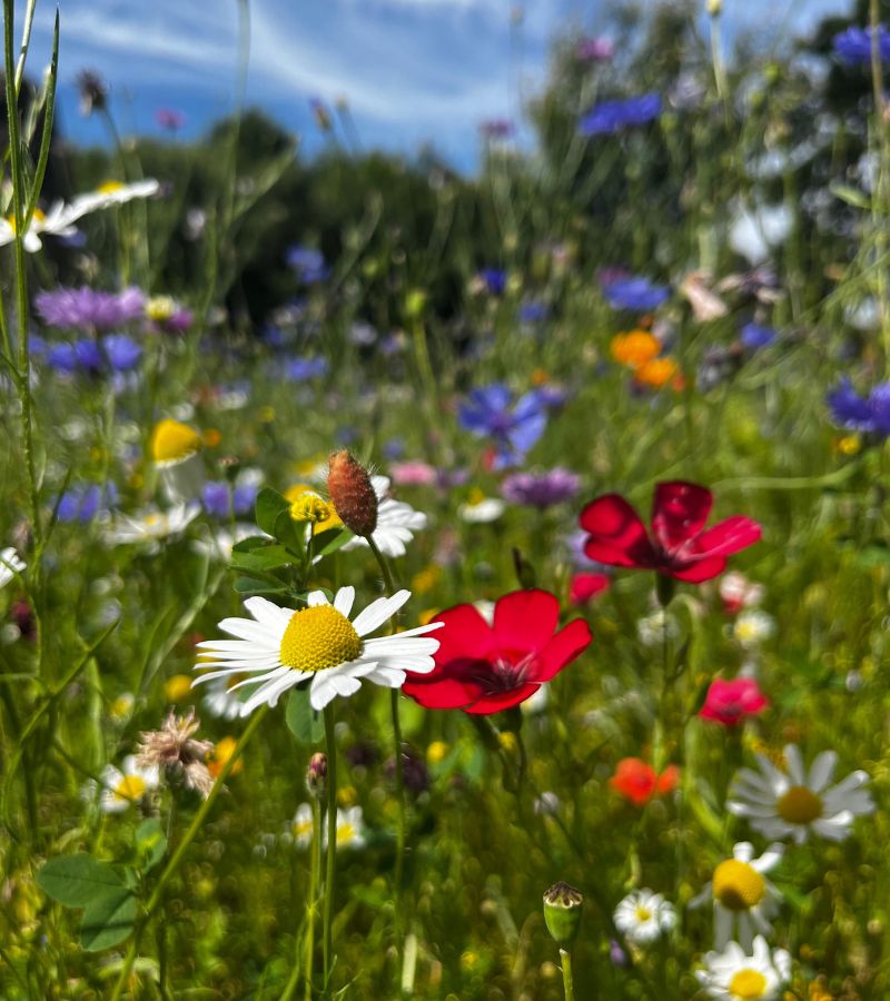 Yoga Retreat für Frauen im Sauerland